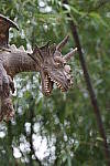 Click to see YFE-24-240MM-591.JPG