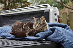 Click to see YFE-24-240MM-604.JPG