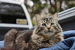 Click to see YFE-24-240MM-611.JPG