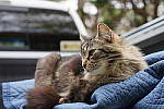 Click to see YFE-24-240MM-616.JPG
