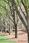 Click to see YFE-24-240MM-624.JPG