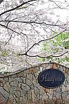 Click to see YFE-24-240MM-626.JPG