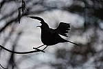 Click to see YFE-24-240MM-744.JPG