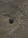 Click to see Y-DP-105mm-9422-EDT.JPG