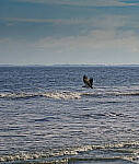 Click to see Y-DP-105mm-9453-EDT.JPG