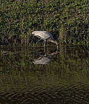 Click to see Y-DP-105mm-9480-EDT.JPG