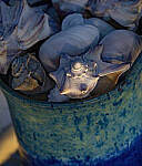 Click to see Y-DP-105mm-9546-EDT.JPG