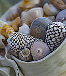 Click to see Y-DP-105mm-9573-EDT.JPG