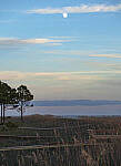 Click to see Y-DP-105mm-9640-EDT.JPG