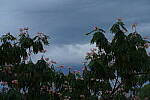 Click to see Y-DP-28-200-9255.JPG