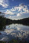 Click to see Y-DP-28-200-9266-EDT.JPG