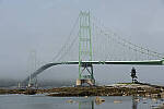 Click to see Y-JG-A7-IV-FE-24-105-4803.JPG