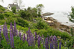 Click to see Y-JG-A7-IV-FE-24-105-4830.JPG