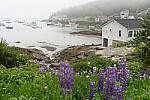 Click to see Y-JG-A7-IV-FE-24-105-4834.JPG