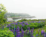 Click to see Y-JG-A7-IV-FE-24-105-4854-MOD.JPG