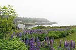 Click to see Y-JG-A7-IV-FE-24-105-4854.JPG