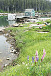 Click to see Y-JG-A7-IV-FE-24-105-4863.JPG