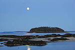 Click to see Y-JG-A7-IV-FE-24-105-4875.JPG