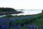 Click to see Y-JG-A7-IV-FE-24-105-4901.JPG