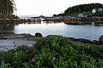 Click to see Y-JG-A7-IV-FE-24-105-4907.JPG