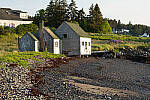 Click to see Y-JG-A7-IV-FE-24-105-4914.JPG