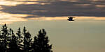 Click to see Y-JG-SONY-A7-IV-0602-MOD.JPG