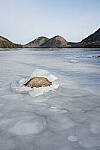 Click to see Y-JG-SONY-A7-IV-1367.JPG