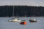 Click to see Y-JG-SONY-A7-IV-1470-MOD.JPG