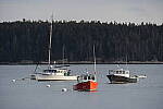 Click to see Y-JG-SONY-A7-IV-1470.JPG