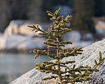 Click to see Y-JG-SONY-A7-IV-1499-MOD.JPG
