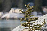 Click to see Y-JG-SONY-A7-IV-1499.JPG