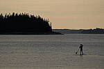 Click to see Y-JG-SONY-A7-IV-1520.JPG