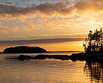 Click to see Y-JG-SONY-A7-IV-1565-MOD.JPG