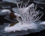 Click to see Y-JG-SONY-A7-IV-1645-MOD.JPG