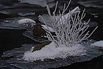 Click to see Y-JG-SONY-A7-IV-1645.JPG