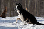 Click to see Y-JG-SONY-A7-IV-1771-MOD.JPG
