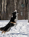 Click to see Y-JG-SONY-A7-IV-1823-MOD.JPG