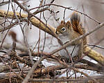 Click to see Y-JG-SONY-A7-IV-1839-MOD.JPG