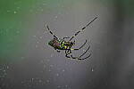 Click to see Y-WB-A7IV_PROTO-DSC00757.JPG