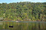 Click to see Y-WB-A7IV_PROTO-DSC01026.JPG