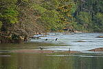 Click to see Y-WB-A7IV_PROTO-DSC01246.JPG