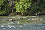 Click to see Y-WB-A7IV_PROTO-DSC01312.JPG