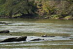 Click to see Y-WB-A7IV_PROTO-DSC01428.JPG