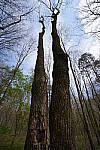 Click to see Y-WB-FE16_35PZ-DSC00002.JPG