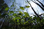Click to see Y-WB-FE16_35PZ-DSC00024.JPG