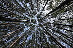 Click to see Y-WB-FE16_35PZ-DSC00030.JPG