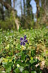 Click to see Y-WB-FE16_35PZ-DSC00039.JPG