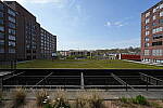 Click to see Y-WB-FE16_35PZ-DSC00066-16.0mm-f5.6.JPG