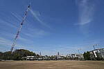 Click to see Y-WB-FE16_35PZ-DSC00095-16.5mm-f8.0.JPG