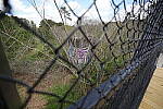 Click to see Y-WB-FE16_35PZ-DSC00130.JPG